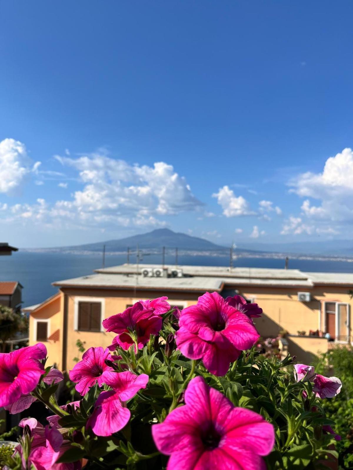 Elisabeth Seaview Apartments Sorrento Coast Віко-Екуенсе Екстер'єр фото